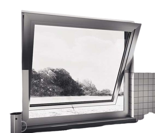 image-removebg-preview